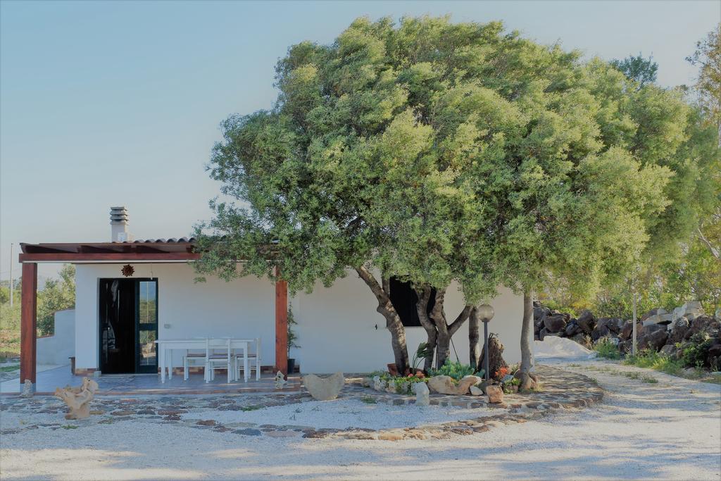 La Ginestra Guest House โอโรเซย ภายนอก รูปภาพ
